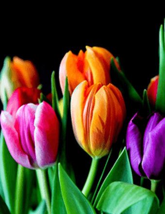 Margaret Ann (Hughes) Hartman Obituary