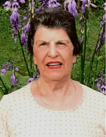 Giovanna "Genine" (Mallamaci) Calabrese Obituary