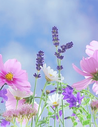 Joyce M. Walkingshaw Obituary